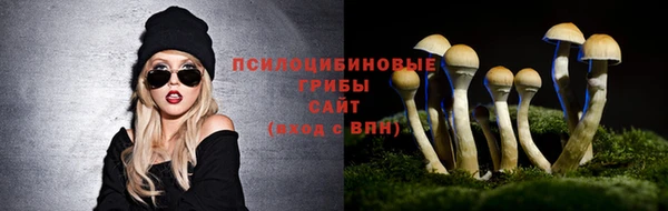 стаф Михайловск