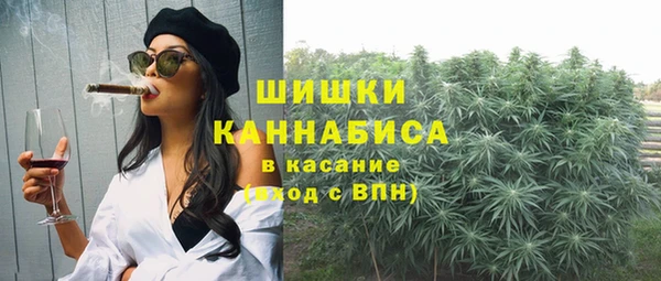 стаф Михайловск