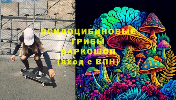 стаф Михайловск