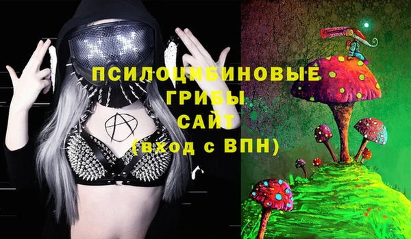 стаф Михайловск