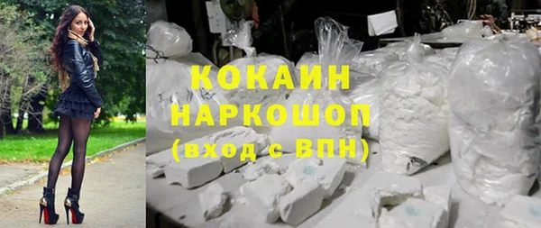 стаф Михайловск