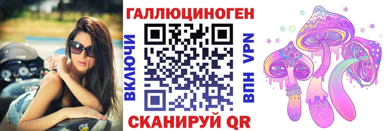 купить закладку  Порхов  Галлюциногенные грибы мицелий 